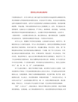 团员民主评议表自我评价