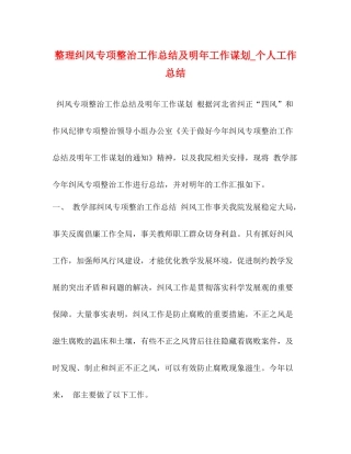 整理纠风专项整治工作总结及明年工作谋划_个人工作总结