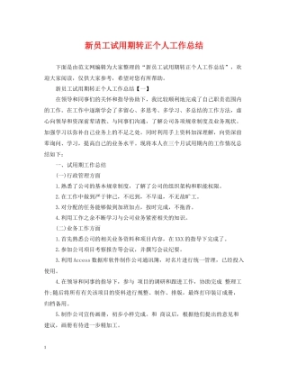 新员工试用期转正个人工作总结