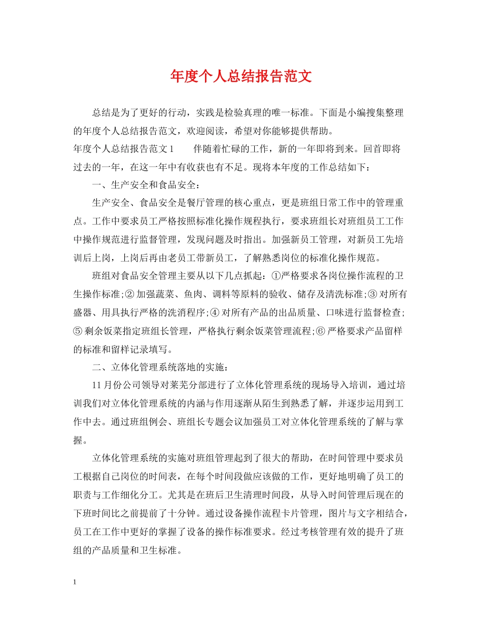 2020年度个人总结报告范文_第1页