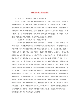 商务局年终工作总结范文