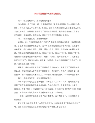 税务稽查个人年终总结范文