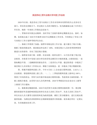 某县劳动工资专业统计员年度工作总结