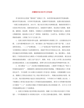 乡镇统计站年工作总结