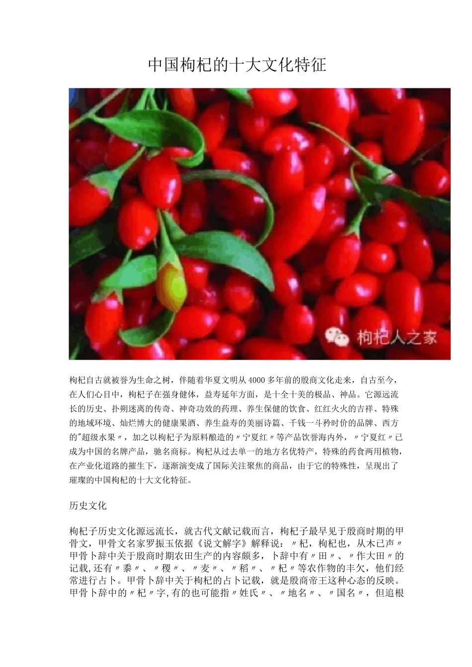 中国枸杞的十大文化特征_第1页