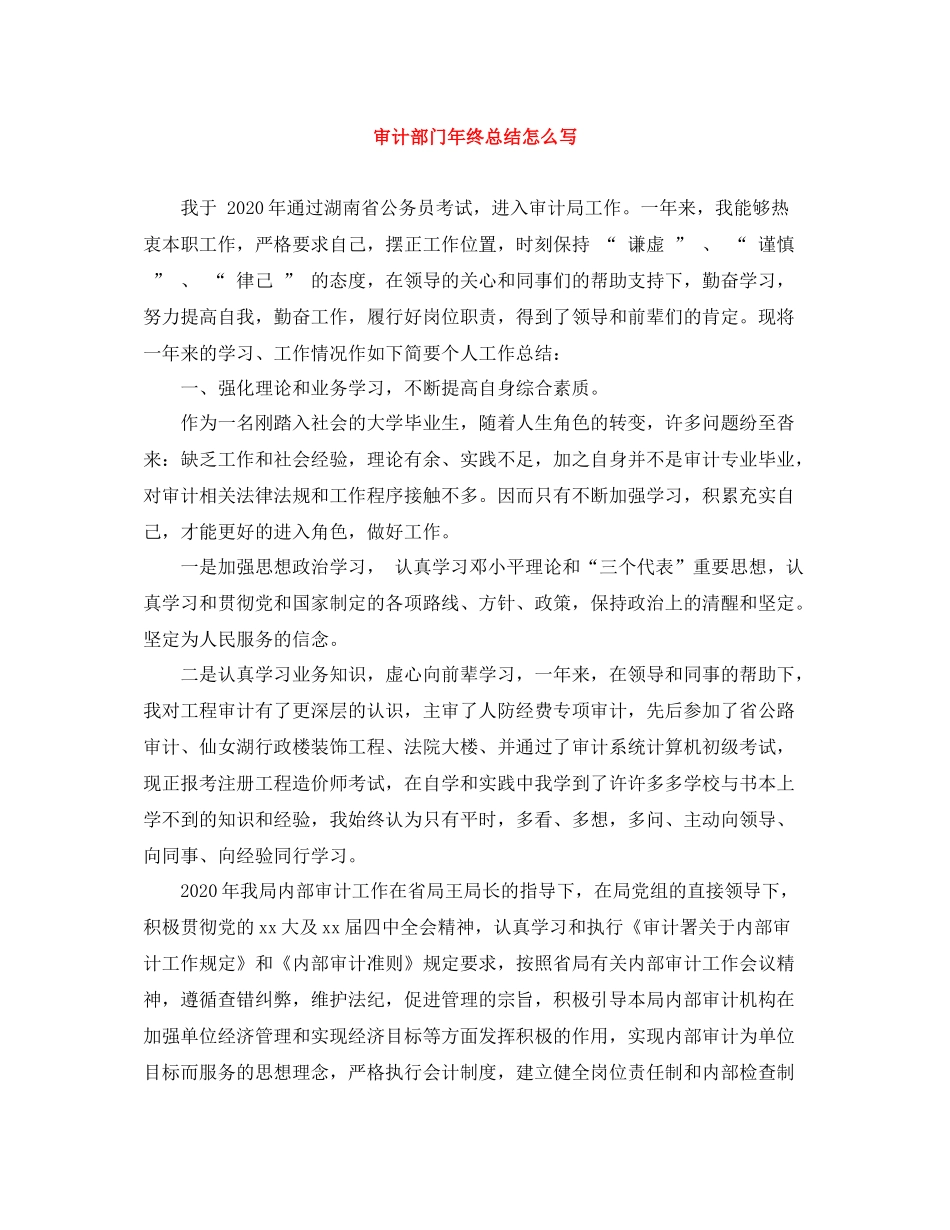 审计部门年终总结怎么写_第1页