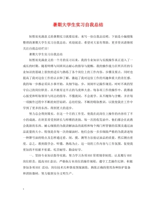 暑期大学生实习自我总结