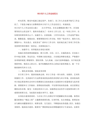 审计局个人工作总结范文