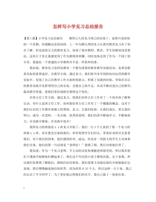 怎样写小学见习总结报告
