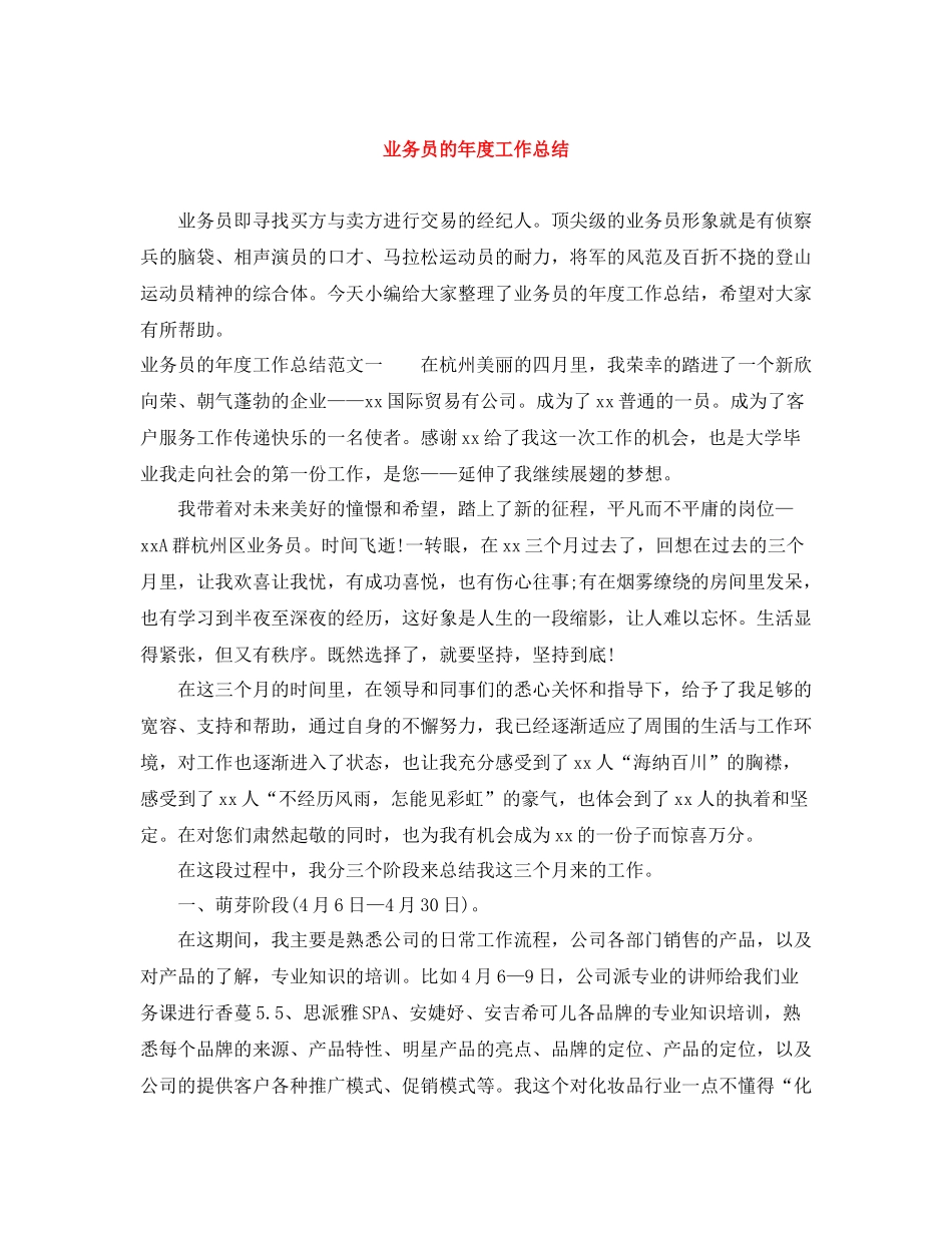 业务员的年度工作总结_第1页