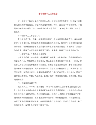 审计年终个人工作总结2
