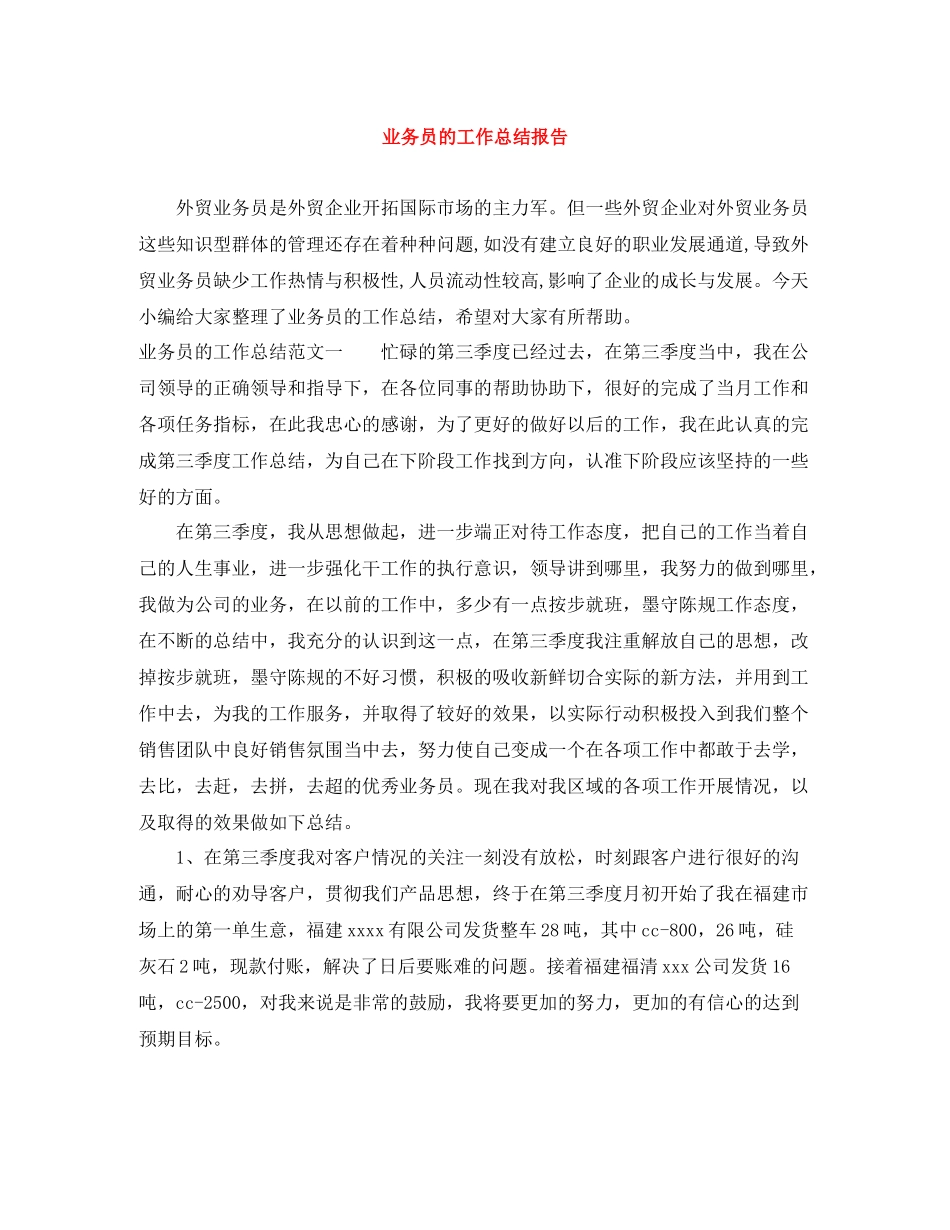 业务员的工作总结报告_第1页