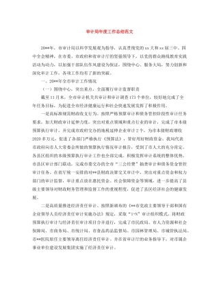 审计局年度工作总结范文2
