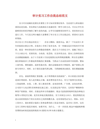 审计实习工作自我总结范文