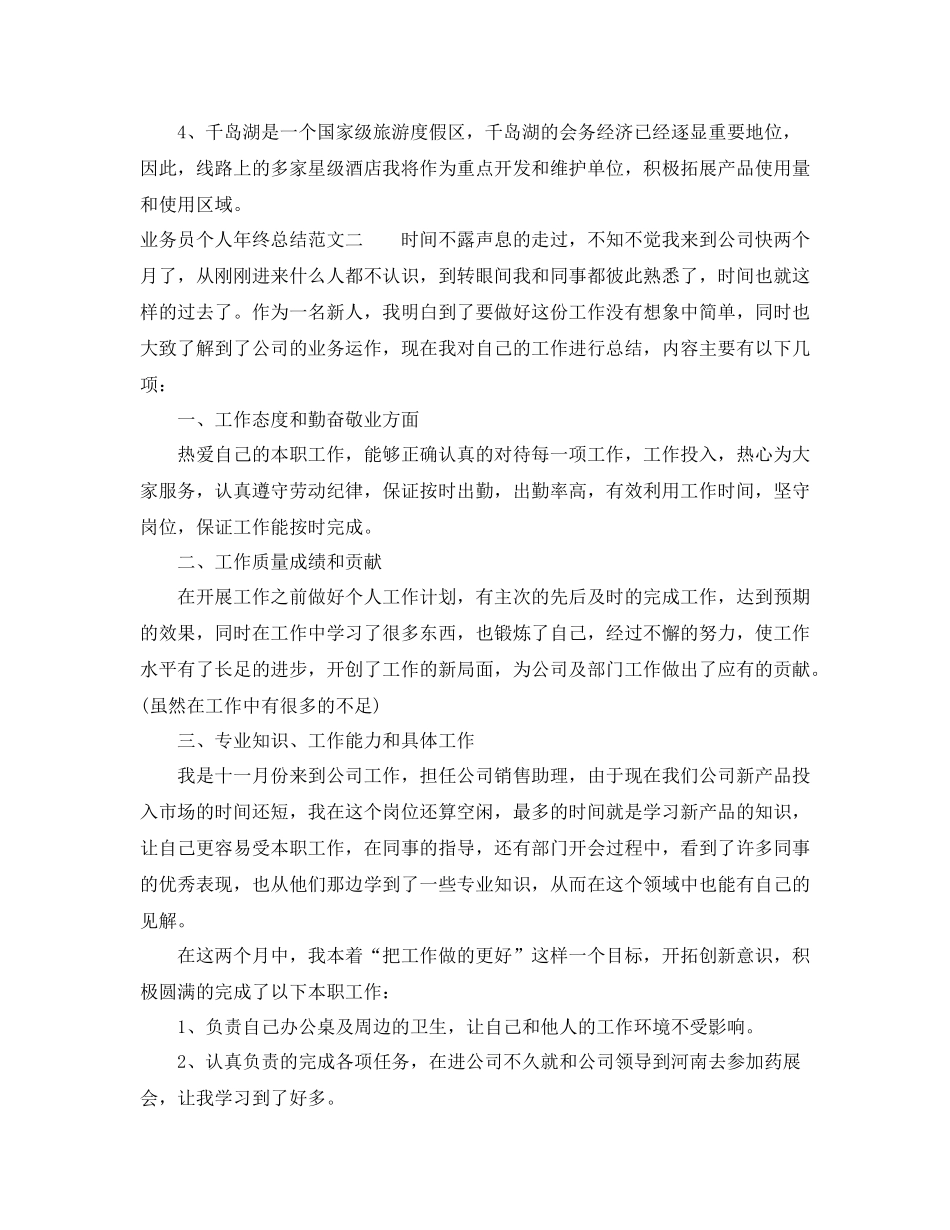 业务员个人年终总结模板_第3页