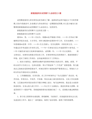 新提拔副局长试用期个人总结范文3篇