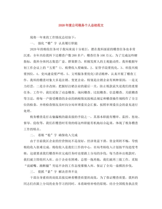 2020年度公司税务个人总结范文