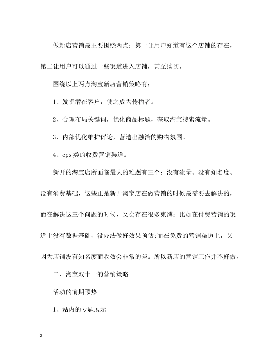 双十一营销工作总结_第2页