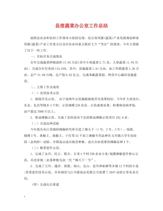 县度蔬菜办公室工作总结