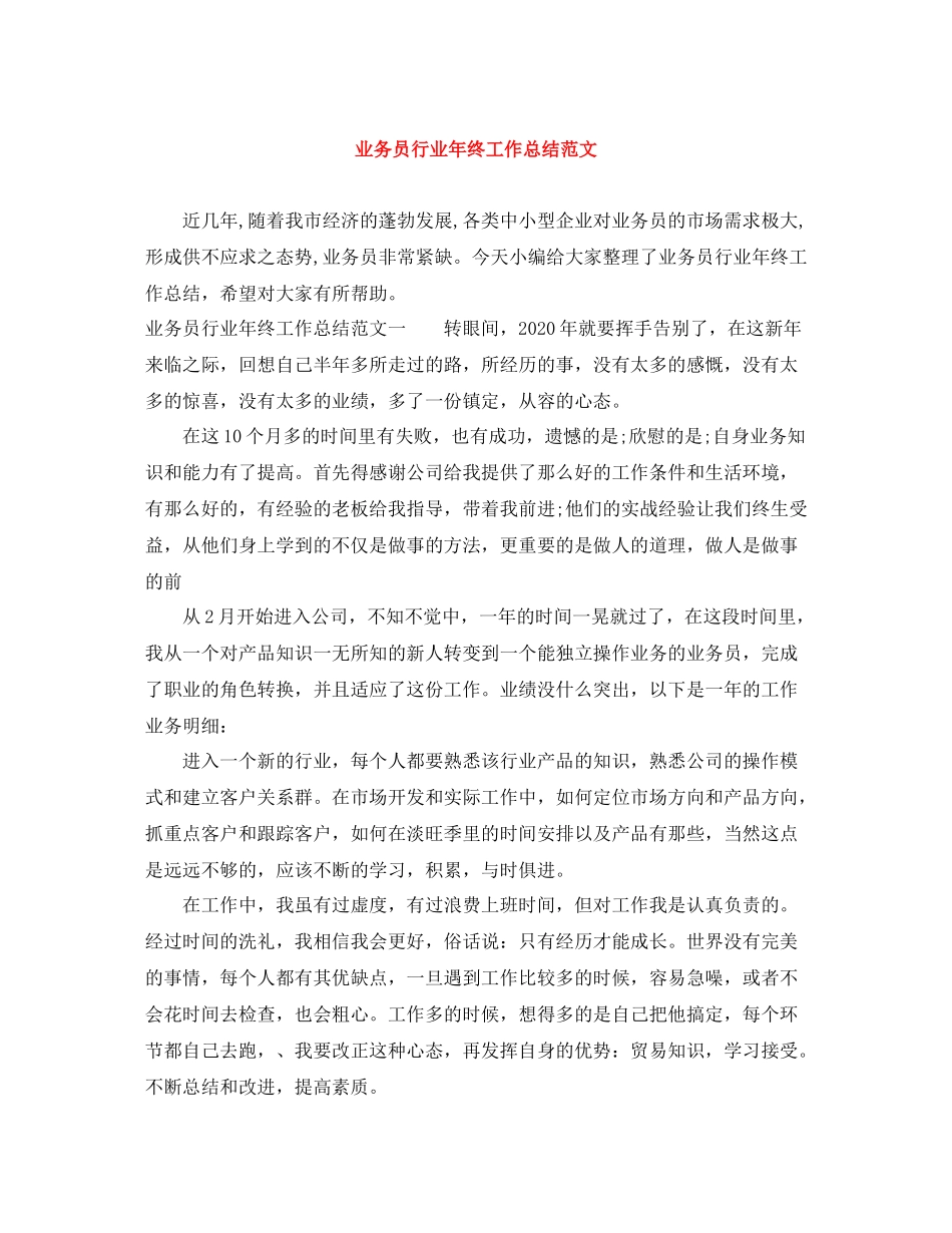 业务员行业年终工作总结范文_第1页
