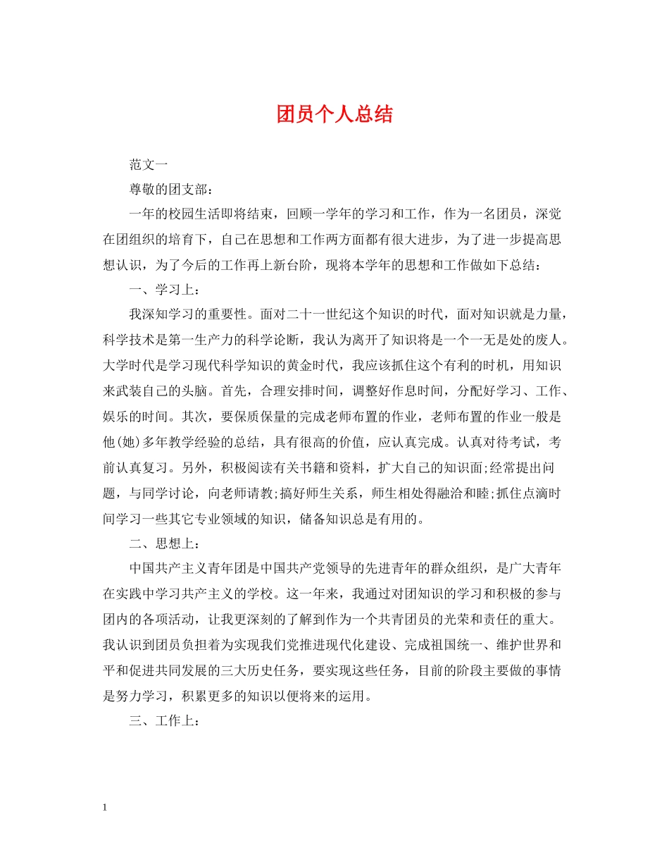 团员个人总结_第1页
