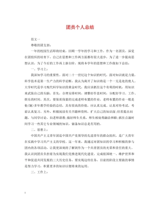 团员个人总结