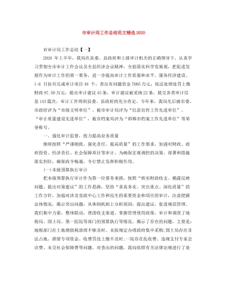 市审计局工作总结范文精选