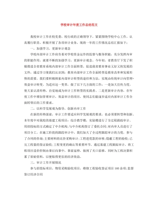 学校审计年度工作总结范文