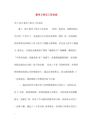 新员工转正工作总结3