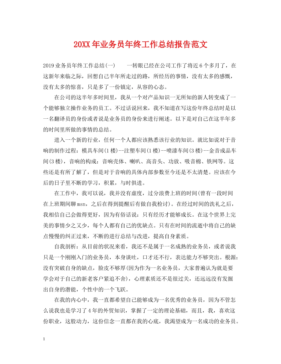 业务员年终工作总结报告范文_第1页