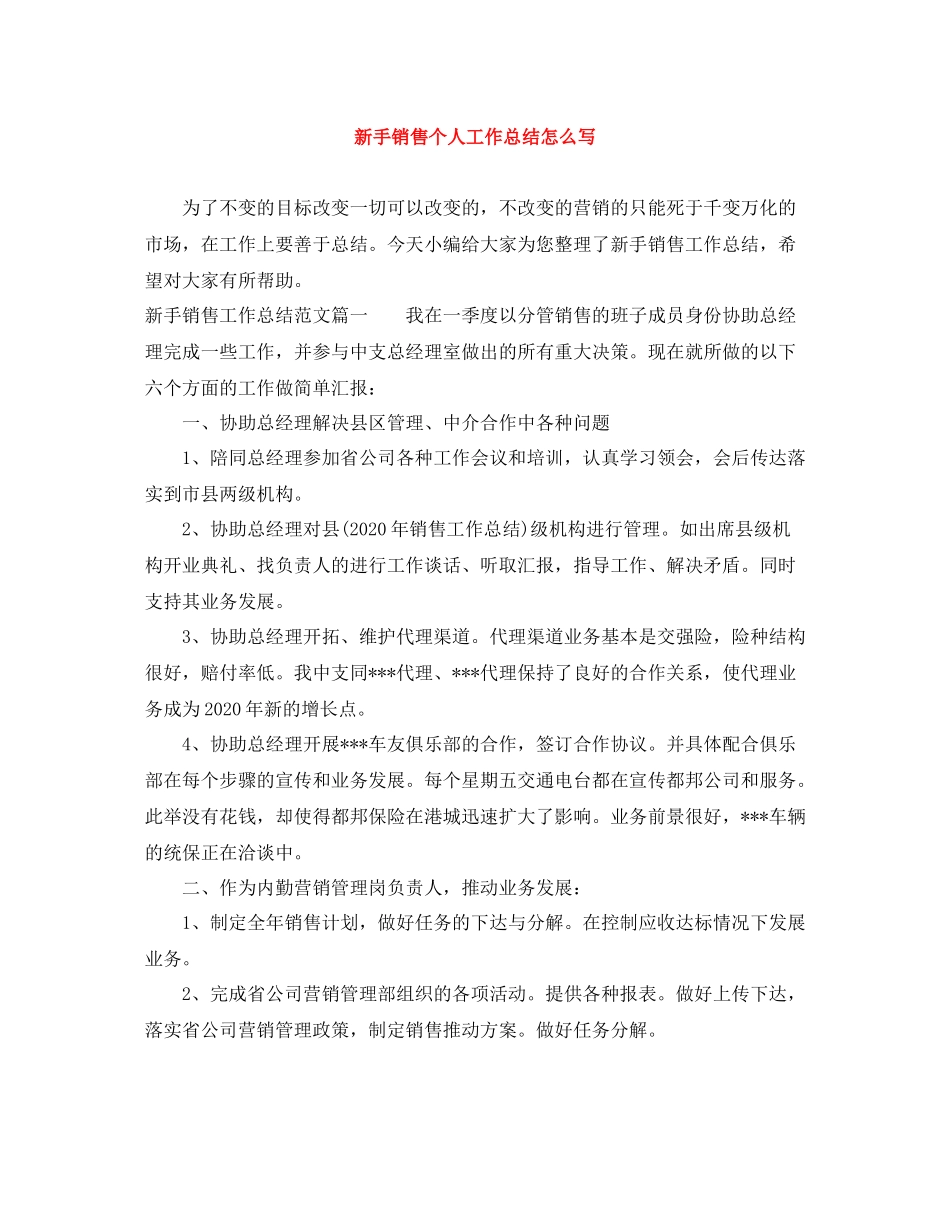 新手销售个人工作总结怎么写_第1页