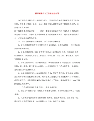 新手销售个人工作总结怎么写