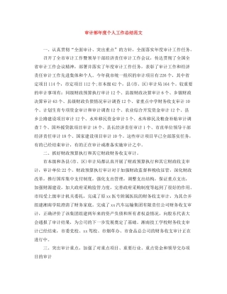 审计部年度个人工作总结范文
