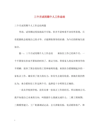 三个月试用期个人工作总结