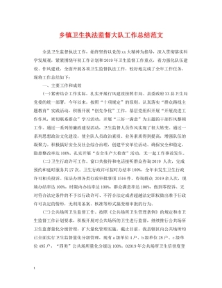 乡镇卫生执法监督大队工作总结范文