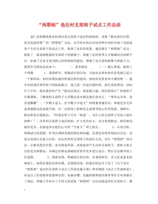 两票制选任村支部班子试点工作总结