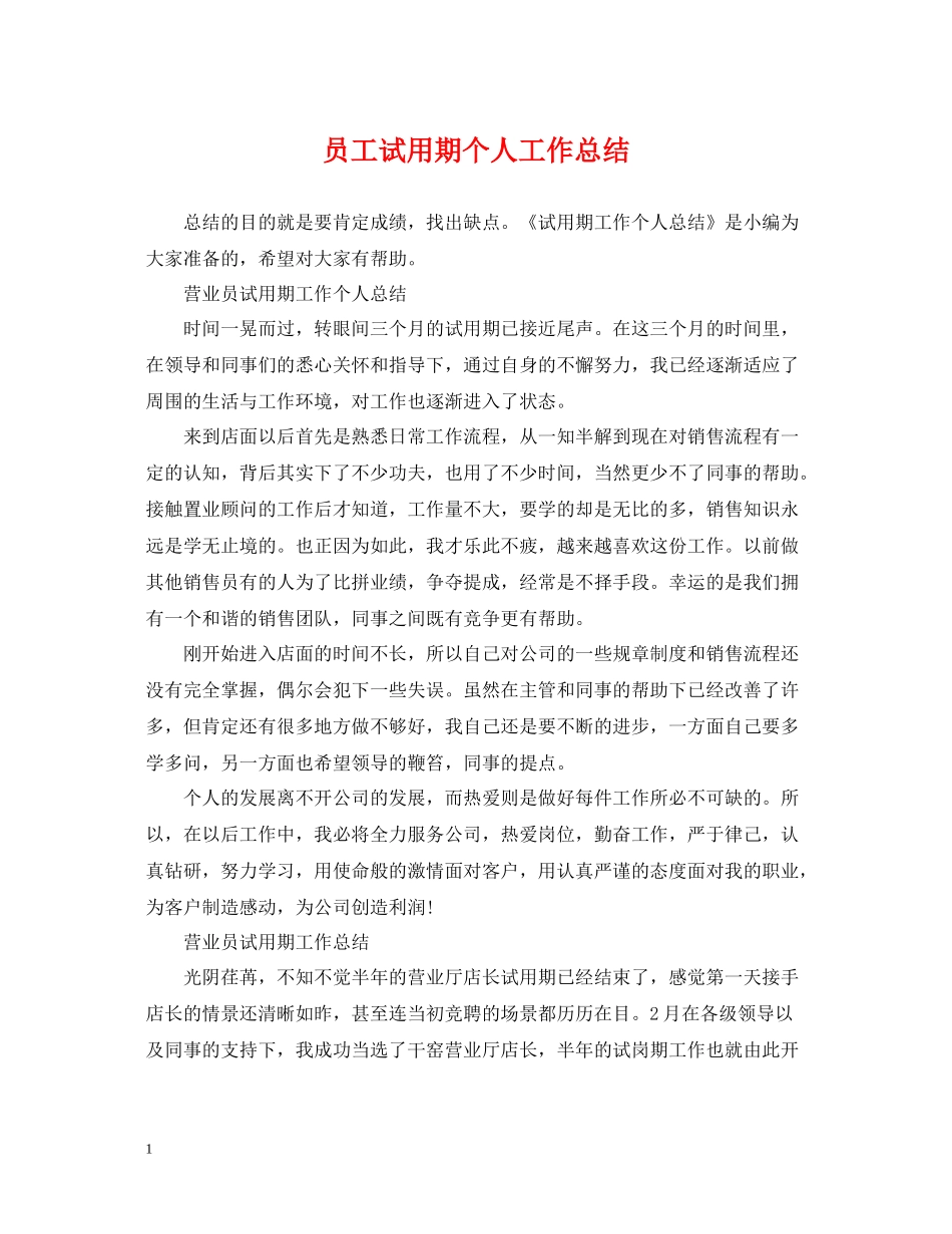 员工试用期个人工作总结2_第1页