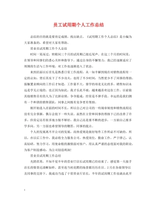 员工试用期个人工作总结2