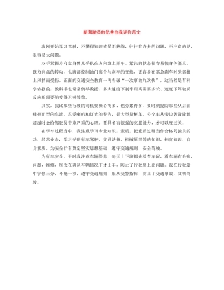 新驾驶员的优秀自我评价范文