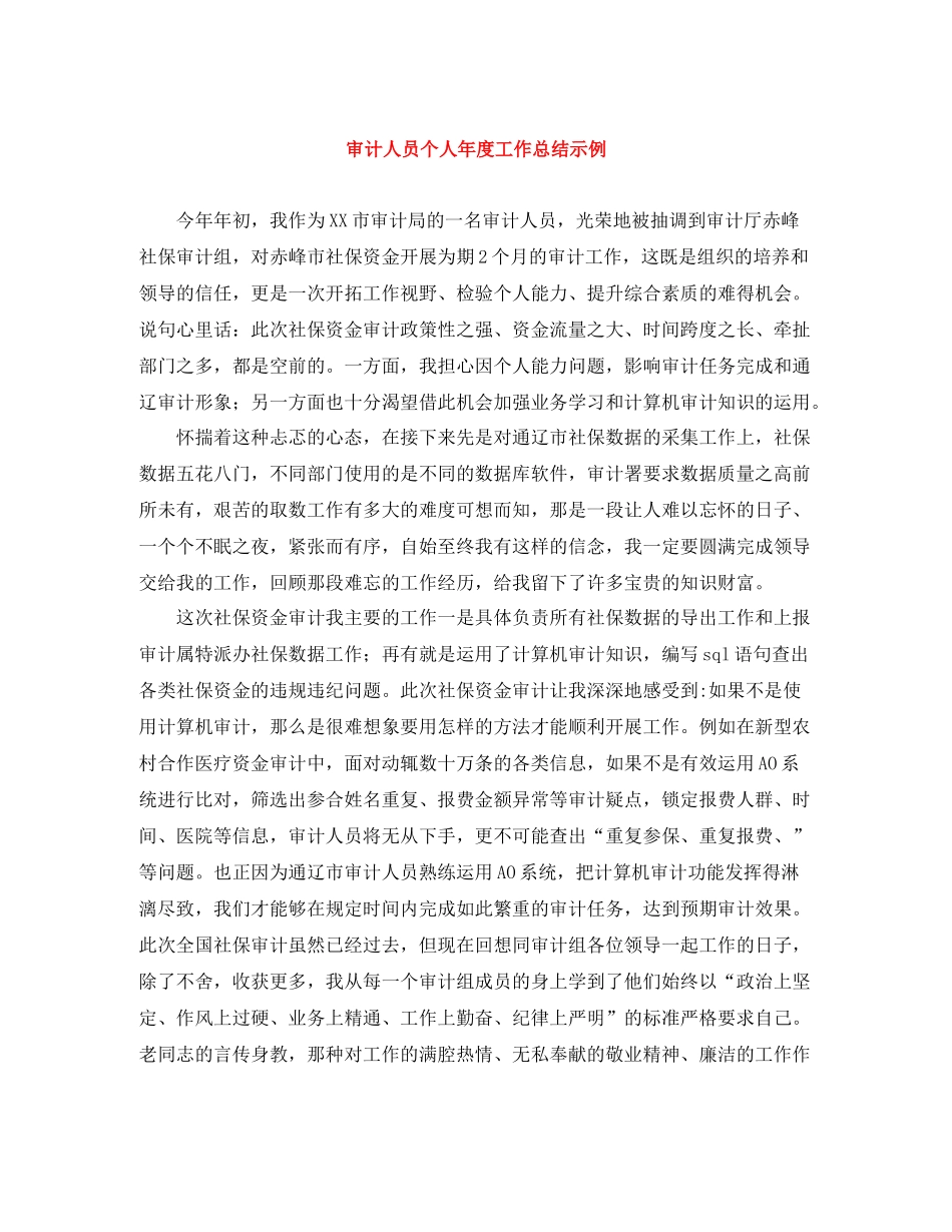 审计人员个人年度工作总结示例_第1页