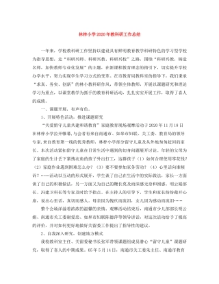 林梓小学年教科研工作总结