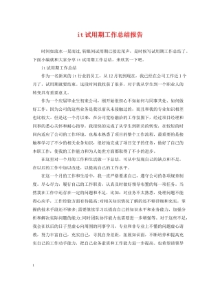 it试用期工作总结报告
