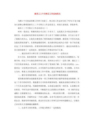 新员工三个月转正工作总结范文