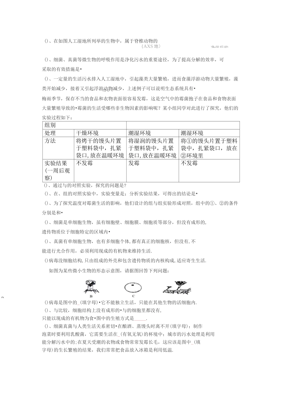 细菌、真菌、病毒_第2页