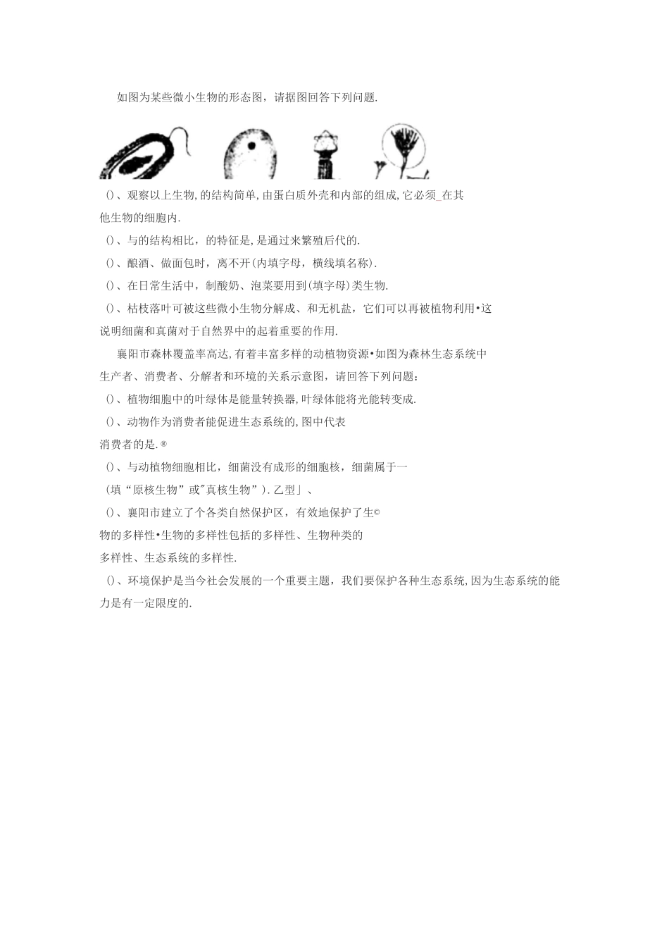 细菌、真菌、病毒_第3页