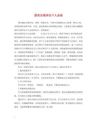 团员自我评议个人总结