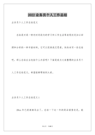 2024业务员个人工作总结