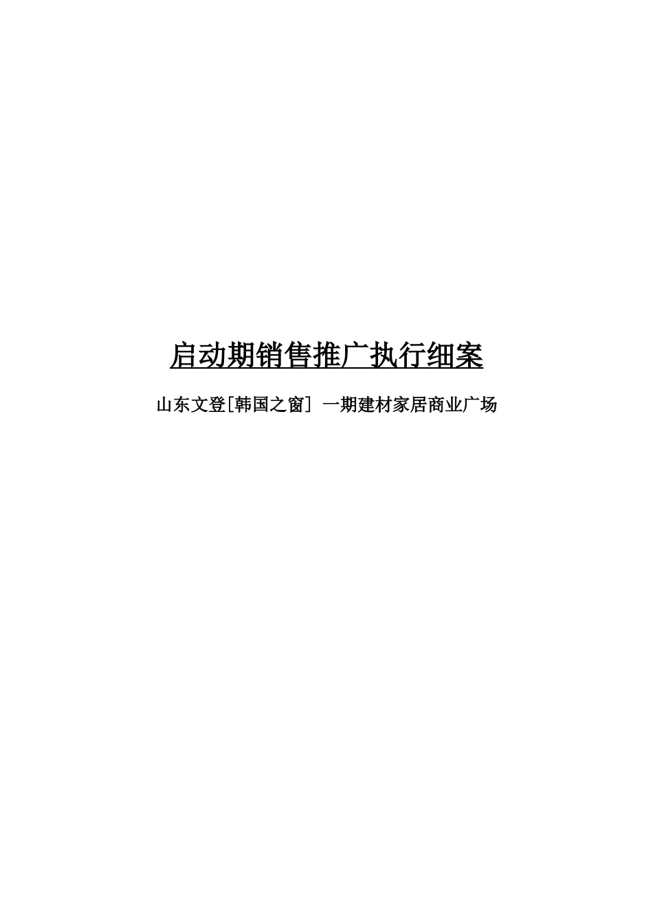销售推广执行报告2.27_第1页