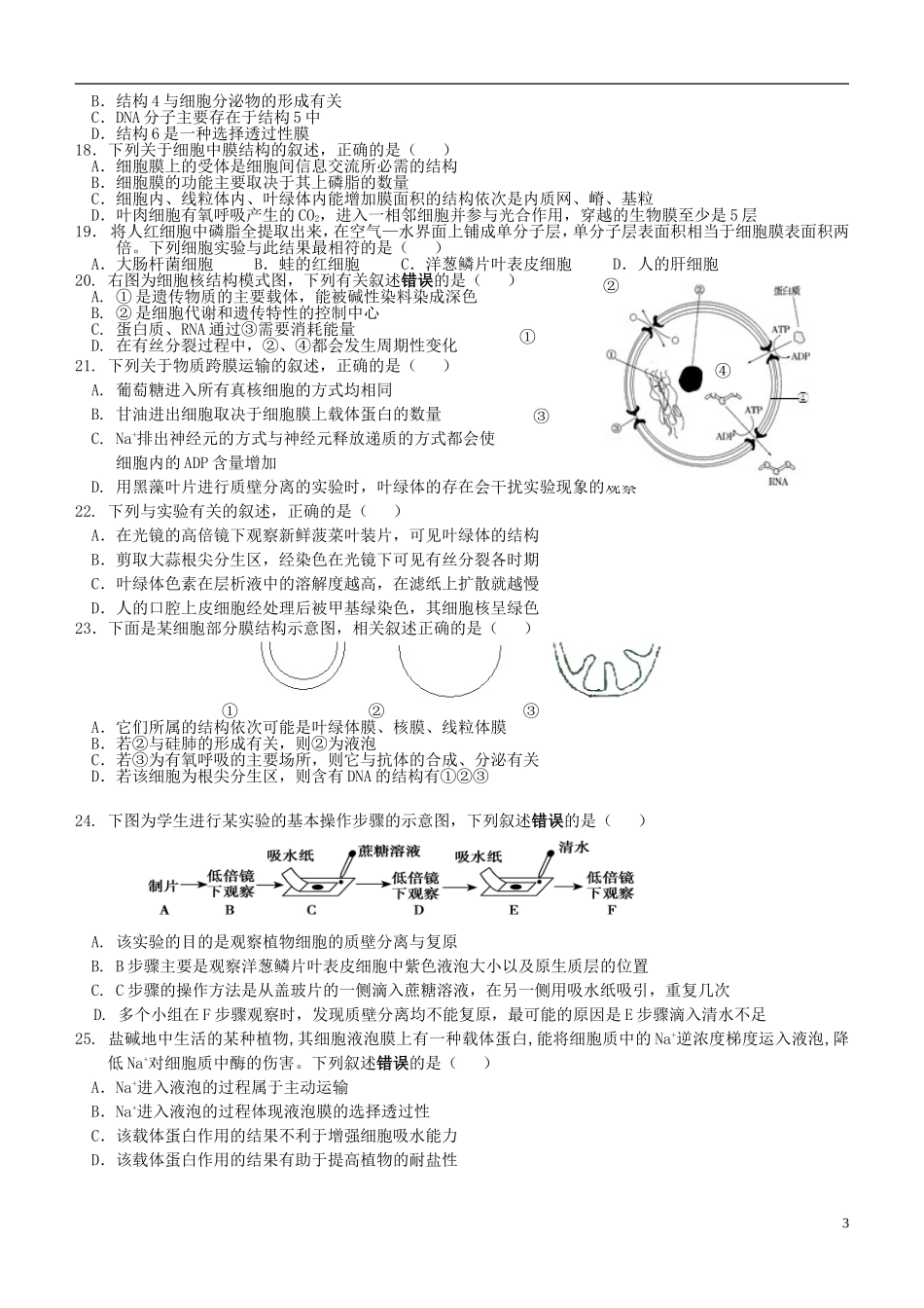 2016届高三生物上学期阶段测试试题精选5_第3页