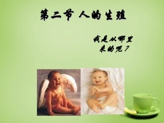 河北省安国市实验中学七年级生物下册第一章第二节人的生殖课件新版新人教版